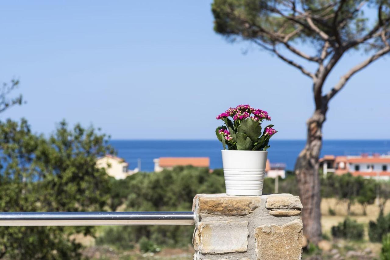 B&B Il Sogno Santa Maria di Castellabate Bagian luar foto