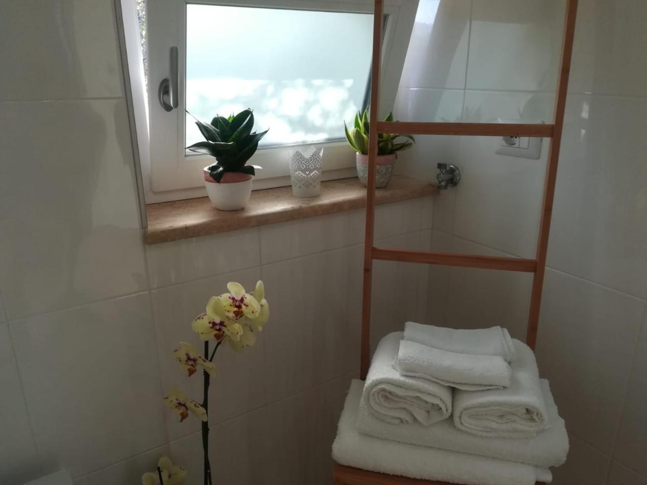B&B Il Sogno Santa Maria di Castellabate Bagian luar foto