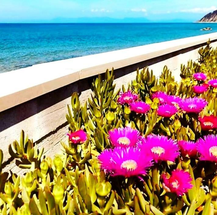 B&B Il Sogno Santa Maria di Castellabate Bagian luar foto