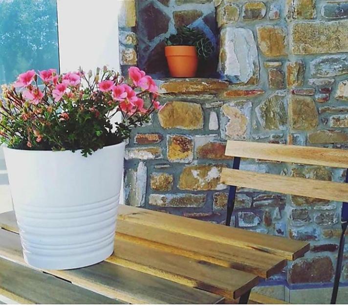 B&B Il Sogno Santa Maria di Castellabate Bagian luar foto