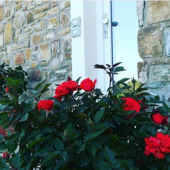 B&B Il Sogno Santa Maria di Castellabate Bagian luar foto